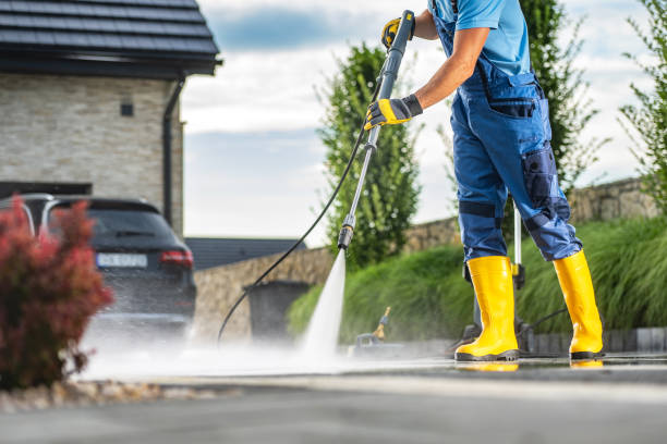 Solar Panel Cleaning in North Star, DE